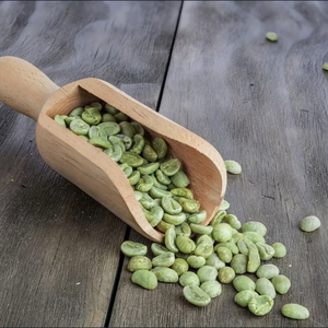 Direct Export Vietnamese Organic <b>Robusta</b> <b>Coffee</b> <b>Beans</b> Size 18, ISO 22000 and USDA Certified, Top Grade, Broken & Black 0.1% Only - Product Image 1