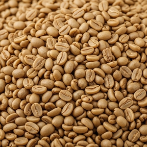 Selected Green Coffee Exporter Offering Arabica Coffee <b>Bean</b> In Dried Form With Custom Packaging For Bulk Buyer Orders - Product Image 4