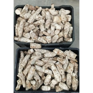 Bromelina en Polvo, Enzima Natural Derivada de Plantas para la Digestión de Proteínas, Apoyo Antiinflamatorio, Uso en Procesamiento de Alimentos y Nutrición - Product Image 1