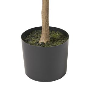 Árbol de Limón Artificial de Plástico de 59 Pulgadas para Decoración de Interiores del Hogar, Árbol de Frutas Artificial para Oficina y Sala de Estar - Product Image 5
