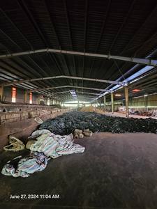 ถ่านหินอัดก้อนทรงหกเหลี่ยมรูปทรงหกเหลี่ยมสีเขียวอัดถ่านอัดก้อนถ่านไม้เอเชียที่ดีที่สุดสินค้าร้อน - Product Image 6