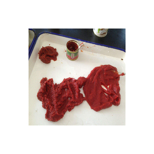 Hot Sale Cheap Price High Quality Tomato Sauce Aseptic Easy Open Tin Canned Tomato Paste Concentrate Tomato Puree Wholesale - Product Image 4