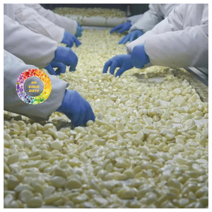 Ail en gousses pelées IQF sous vide en vrac, qualité export, durée de conservation de 24 mois pour plats préparés et sauces - Product Image 1