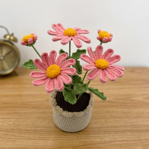 กระถางดอกเดซี่สีชมพูถักโครเชต์ทำมือ ของตกแต่งอะมิกุรุมิ พร้อมดอกไม้ไหมพรมถัก สำหรับตกแต่งบ้านหรือโต๊ะทำงาน ของขวัญ - Product Image 2
