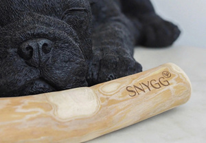 Eco2go Vietnam Bâton à mâcher pour chien en bois de café durable |   Nettoyage des dents naturel et écologique, utilisation quotidienne interactive - Product Image 5