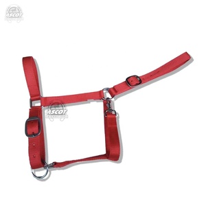 Vente en gros de licol pour chevaux en nubuk avec raccords en fer Rembourrage souple pour équipement d'équitation - Product Image 1