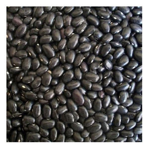 Wholesale Supplier Black kidney Beans <b>For</b> <b>Sale</b> In Reasonable Price top quality - Product Image 4