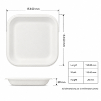 Plateau jetable écologique léger en bagasse de canne à sucre blanc de 7 pouces, compatible micro-ondes, pour aliments