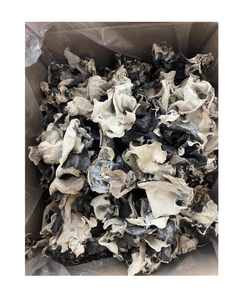 Champignons d'Oreille de Bouddha Séchés (Fonge Noire) pour l'Export en Gros – Champignons Comestibles Naturels Nettoyés et Séchés au Soleil pour la Distribution Mondiale - Product Image 2
