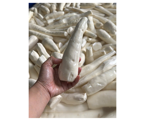 Raíz de Yuca Congelada de Alta Calidad, Origen Vietnam, Directo de Fábrica - Raíz de Yuca Congelada en Trozos Pelados para la Industria de Alimentos Congelados - Product Image 1