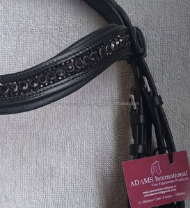 El último diseño, banda desmontable para las cejas, cuero de cristal ostentoso para productos de caballos - Product Image 3