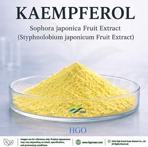 Hgo สารสกัดจากผลไม้โซโฟราจาโปนิกา/สารสกัดจากผลไม้ (เกรดอาหาร) ดินขาว50%-98% - Product Image 1