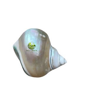 Anillos para Servilletas de Concha Natural Hechos a Mano, Decoración de Mesa con Estilo Costero, Accesorios Ecológicos para Servilletas de Boda, Compra al por Mayor - Product Image 1