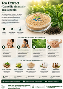 โรงงาน HGO จัดจำหน่ายสารสกัดชาบริสุทธิ์จากธรรมชาติ (Camellia sinensis) เกรดอาหาร สารสกัดชาซาโปนินมาตรฐาน 65% - Product Image 2