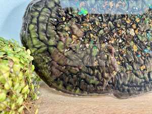 ถาดเรซิ่นสีเขียวและสีทองลายจีโอด, ถาดเสิร์ฟอีพ็อกซี่สุดหรู - Product Image 2