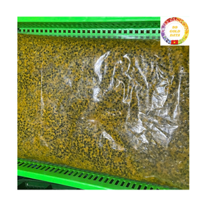 Fruit de la Passion IQF Congelé en Gros, Nouvelle Récolte, Fournisseur Export Vietnamien pour Boissons, Smoothies et Usines de Transformation Alimentaire - Product Image 5