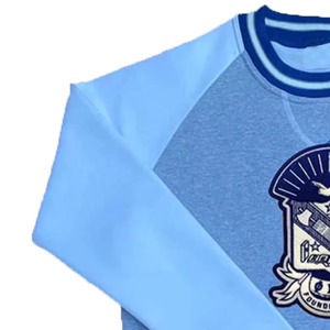 Sudaderas de Fraternidad Más Vendidas con Cuello en V, Colores Combinados, Escudo Bordado y Bolsillo Tipo Canguro - Product Image 4