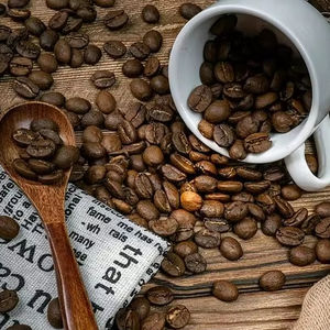 Café Robusta Orgánico Tostado y Molido, Certificado por el USDA, Grado AA+ de Vietnam, Marca TNFOOD, Proveedor de Exportación Directa Global - Product Image 1