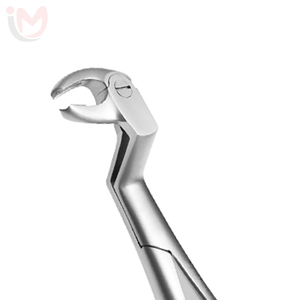 Forceps d'extraction manuels ergonomiques en acier inoxydable, modèle anglais, instruments dentaires - Product Image 2