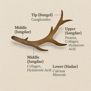 Korean Ginseng Root Deer Antler Extract Herbal Antioxidant Energy <b>Shot</b> Vitality Drink Tonic Pouch Natural <b>Immune</b> Support for - Product Image 3