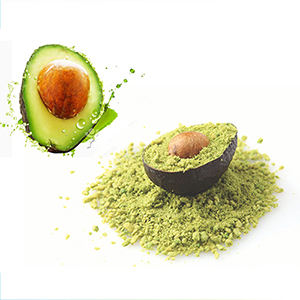 Poudre d'avocat de haute qualité/poudre moulue de fruits d'avocat séché naturel biologique du Vietnam - Product Image 2