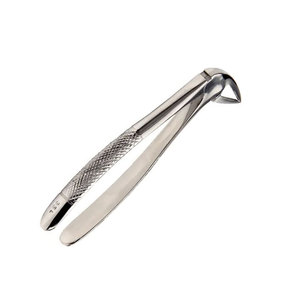 Premium Quality Berten Type Extraction Forceps PLUS 33L German Stainless Steel Dental Surgical Tooth Extraction Instrument - Product Image 2