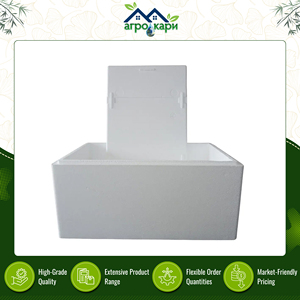 Exportador Líder de Contenedores de Espuma de Poliestireno Aislantes de Calidad Estándar con Capacidad de 20 Litros / Caja de Espuma de Poliestireno EPS con Tapa a Bajo Precio - Product Image 2
