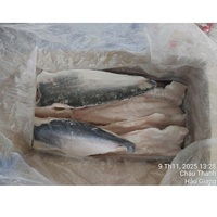 Pangasius Congelé du Vietnam IQF 10-12cm Grade 24 Mois Filets de Poisson avec Peau A/B Emballage en Vrac Fruits de Mer