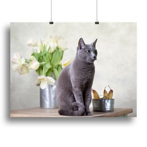 Gato ruso azul sentado en una mesa con peras y tulipanes, impresión en lienzo o póster para juguetes interactivos y de movimiento para mascotas - Product Image 1