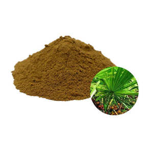 Polvo de Saw Palmetto 100% Puro de Grado Alimenticio a Granel, Calidad de Exportación, Polvo de Palma Enana Natural, Proveedor a Granel de la India - Product Image 2