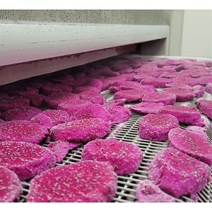 Cubos de Pitaya Congelados de Vietnam, Suministro al por Mayor para Smoothies, Postres, Panadería y Servicios de Alimentos - Product Image 1