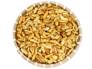 ดักแด้ไหมแห้งจำนวนมากจากเวียดนาม - Product Image 4