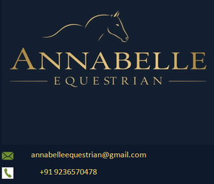 Adjustable Handmade Leather Dog Collar with Soft <b>Padding</b> for Comfort & Safety for Best Wholesale Price - Product Image 6