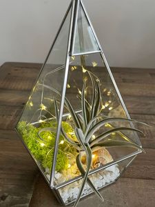Terrarium en verre hexagonal pour plantes d'intérieur, vase de table, décoration artistique, récipient transparent pour succulentes et plantes aériennes - Product Image 3