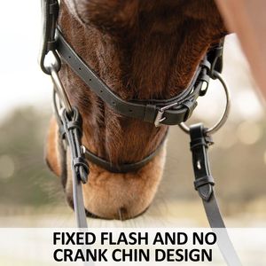 Premium quality English saddle style horse bridle and <b>halter</b> made from genuine leather for outdoor equestrian use - Product Image 5