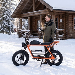 Bici Elettrica Robusta con Pneumatici Larghi e Portapacchi Centrale, E-bike per Ogni Condizione Meteo, Ideale per Spostamenti Invernali su Sentieri Innevati - Product Image 3