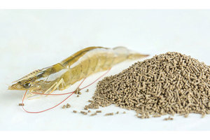 Algas Sargassum Secas de Vietnam, Etiqueta OEM, Precio Competitivo, Volumen a Granel, Aplicación Estándar de Exportación para Agricultura - Product Image 5