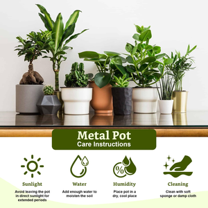 Maceta Redonda Resistente, Decorativa, de Alta Calidad, para Plantas, para Oficina, Interiores, Exteriores, Jardín, Césped, Balcón - Product Image 5