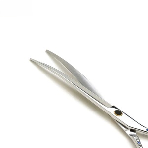 Tijeras de Peluquería Profesionales de Acero Inoxidable, Punta Afilada, para Diestros, Mango Largo de Plástico, No Plegables, con Dientes Ajustables - Product Image 4