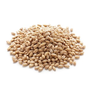 Approvisionnement en céréales pour l'exportation en vrac : 100 % orge pour l'alimentation animale, grains entiers, emballés proprement dans des sacs pour les acheteurs en gros du monde entier - Product Image 2