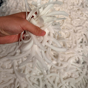 Frozen Coconut Meat Bulk <b>Packaging</b> From Ben Tre Vietnam-Ready to Eat Export Quality - Product Image 1