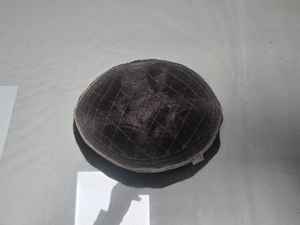 Perruque Toupet Cheveux Vierges Indiens Remy Soudés, Ondulés et Lâches, Taz Hair BD, Trame Simple, Expédition Via FedEx DHL UPS - Product Image 2