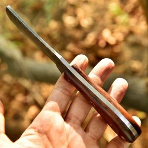 Professional Hunting Knives with Sharp <b>Stainless</b> <b>Steel</b> Blade Ergonomic Handle for <b>Outdoor</b> Camping Survival Bushcraft Hiking - Product Image 5