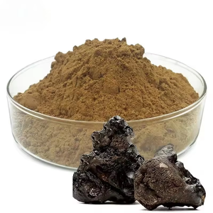 Extrait de Shilajit 50% naturel de l'Himalaya, riche en acide fulvique et en oligo-éléments pour soutenir l'énergie et la vitalité - Product Image 5