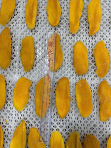 Rodajas de mango seco suaves y masticables con sabor tropical. Ideales para refrigerios, mezclas de frutos secos, repostería y alimentos a base de frutas. - Product Image 6