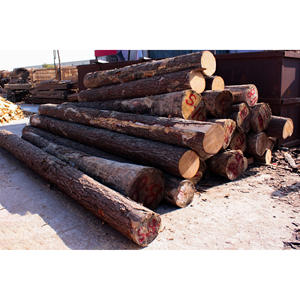 Troncos de Madera Blanda de Alta Calidad, Troncos para Chapa de Madera, Material de Madera Duradero, Perfecto para Producción de Chapa, Carpintería y Aplicaciones Industriales - Product Image 2