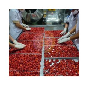 Freeze dried Strawberries Vietnamese FD strawberry Preserved Vacuum Pack & Bulk <b>Packaging</b> Wholesale - Product Image 5