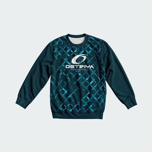 Sweat-shirt d'hiver pour homme à prix avantageux, vente en gros, 100% polyester, tissu léger et confortable, fabrication directe en usine - Product Image 5