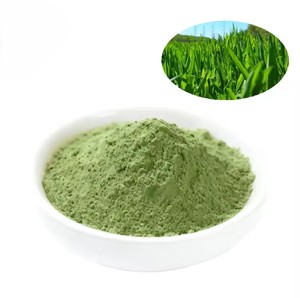 Hot Selling 100% Pure <b>Wheat</b> Grass Powder Naturally Dried Food Grade <b>Wheat</b> Grass Powder Helps Maintain Internal Balance & Support - Product Image 3