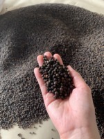 Poivre noir du Vietnam de qualité supérieure : FAQ, Nettoyé, Grains de 1 mm, Sans coquille - Épices VILACONIC pour l'exportation (Joice)